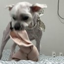 몽그라밍 이미지