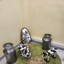 재덕목장 이미지