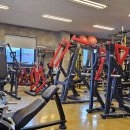 노익스큐즈 이미지