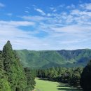 노송골프 이미지