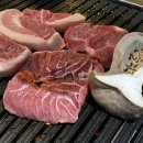 카페젠틀피그
