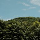 단곡화장실2 네이버블로그