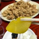 반도반점 이미지