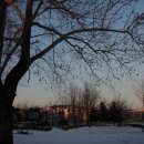 수원농생명과학고등학교 이미지