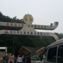 코끼리하우스민박 이미지