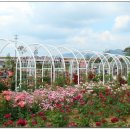 연님농장 이미지