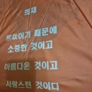 미쿡에서 오신 ㅆㄴㅋ님 베로나에서 만나요 이미지