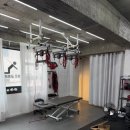 본척추교정운동