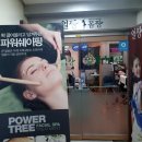 파인트리프로샵 | 화정역 피부관리 얼짱몸짱 화정점::파워트리 관리로 이목구비를 또렷하게