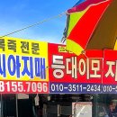 등대이모 이미지