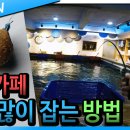 포인트실내낚시카페낚시터 이미지