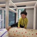 하이가든인후점 | #김해가볼만한곳 #하루순삭 #김해 덴바스타 테마키즈 호텔