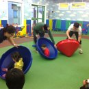 팀아트GYM