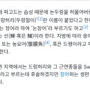 머드러기 이미지