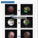녹색정형외과의원 이미지