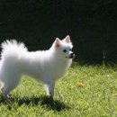 언주로7길 이미지