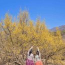 구례 버스킹 공연 이미지