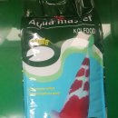 코이푸드 이미지