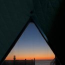 펫-오션 이미지