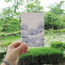 디자인몬트