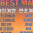 힘찬주유소 이미지