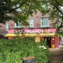 [일산 밤리단길 브런치 맛집 애견동반 가능]에그앤피넛EGG&amp;PEANUT