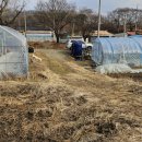 충도리농장 이미지