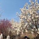 목련쉼터 이미지