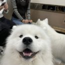 겨울이머무는집 이미지