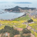 해양치유시티투어 이미지