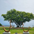 등기산공원 이미지