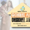 애플매트경기동부지사 이미지
