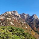 이루다행정사