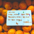 윤자농장 네이버블로그