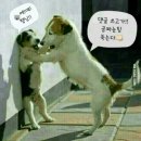 오토오아시스 가좌IC점 이미지