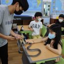 낙산초교 이미지