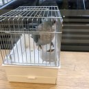 군포굿닥터동물병원 이미지