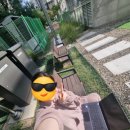 광진문화예술회관(11타석) | [공지] [서울/건대] 광진문화예술회관 평일 자유수영| 대기표부터 레일 사용법까지