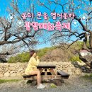지에스25광양매화 | 2026 광양매화축제 기간 이제 곧 시작? 2025년 매화마을 후기를 곁들인❤️ 전남 봄꽃 축제 기본정보 주차...