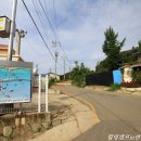 낙선군 묘 이미지