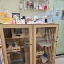 무마취 고양이 미용실 반할고양 이미지