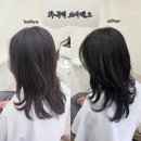 코리아세븐일레븐 강서화곡로점 | [강서 미용실] 화곡역 조아헤오 인디고브라운 염색 후기