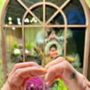 디로버스테이 이미지