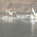 용포마을 이미지