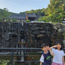 판암동155 이미지