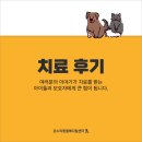 훈동물병원 | 안산동물병원, 온누리동물메디컬센터 10월 치료 후기 ✨