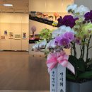 홍선생미술강서지사 네이버블로그