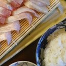 붉은수염스몰