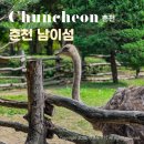 [6월 재능나눔] 나만 몰랐던 네이버 지도 이용 꿀팁 | 강원도 춘천 가볼만한곳 당일치기 여름 여행지 남이섬