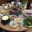 못말리는꼼장어 이미지